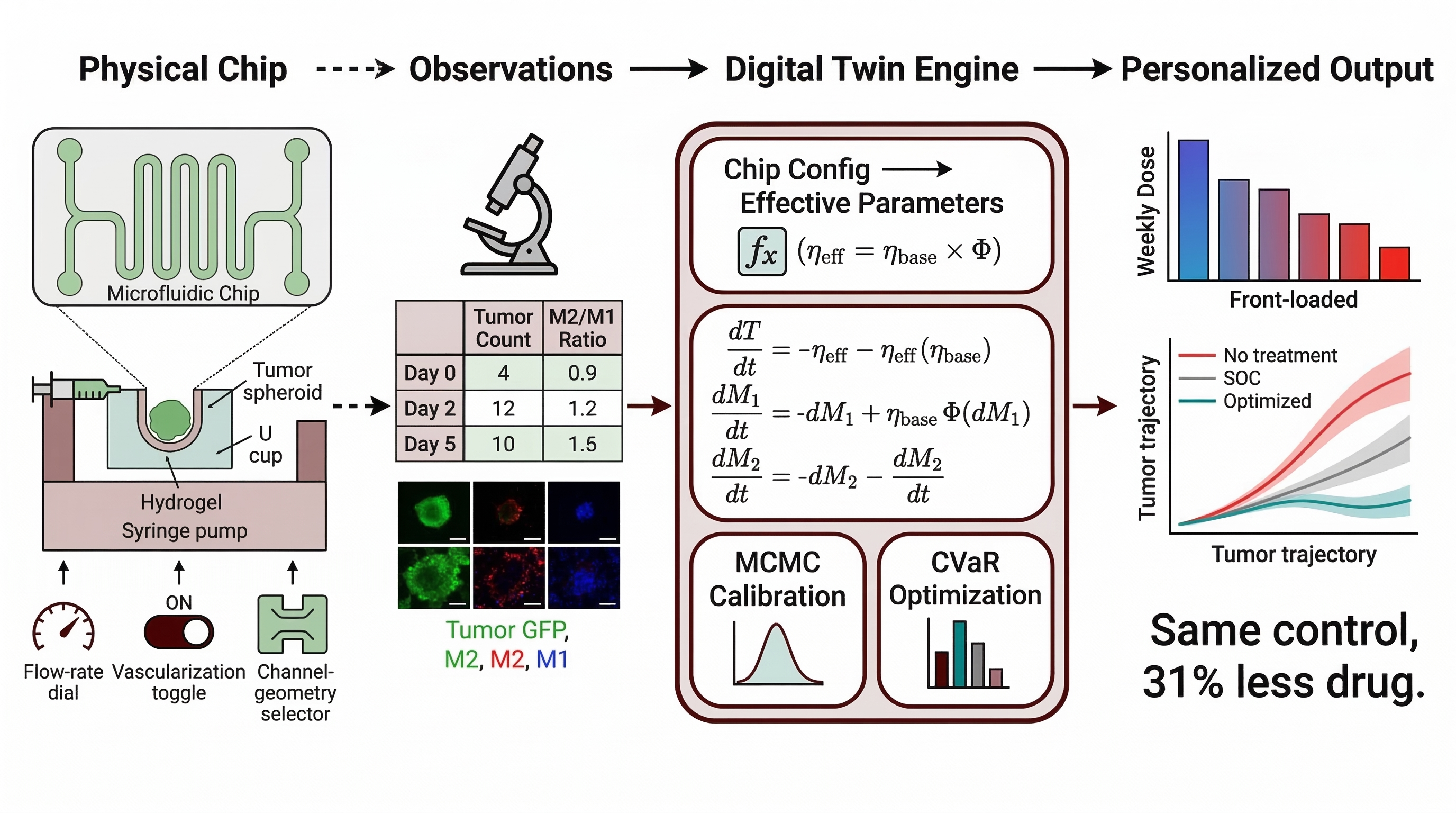 End-to-end pipeline: physical microfluidic chip generates sparse observations that feed a digital twin engine combining a tumor-macrophage ODE, MCMC calibration, and CVaR optimization to output a front-loaded weekly dose schedule that matches no-treatment versus SOC versus optimized trajectories