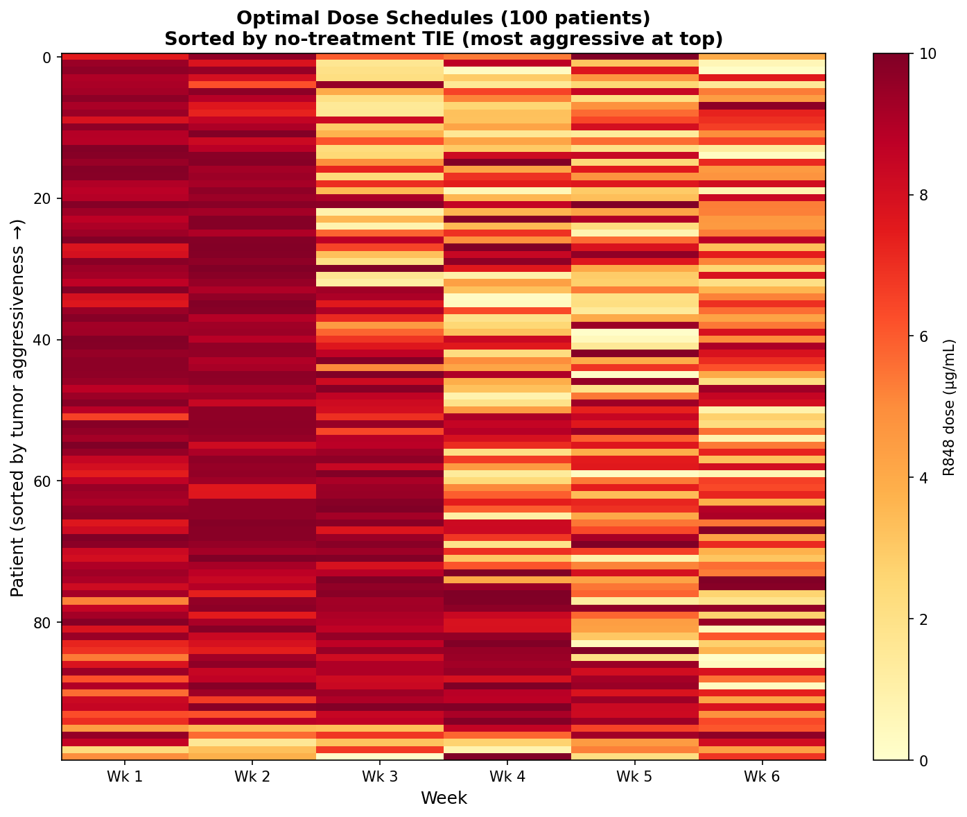 Heatmap of weekly R848 dose across 100 patients sorted by no-treatment TIE aggressiveness, with darker columns in weeks 1 and 2 and lighter columns in weeks 5 and 6 indicating front-loaded dosing